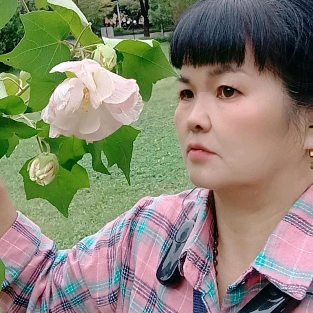 李姐首播