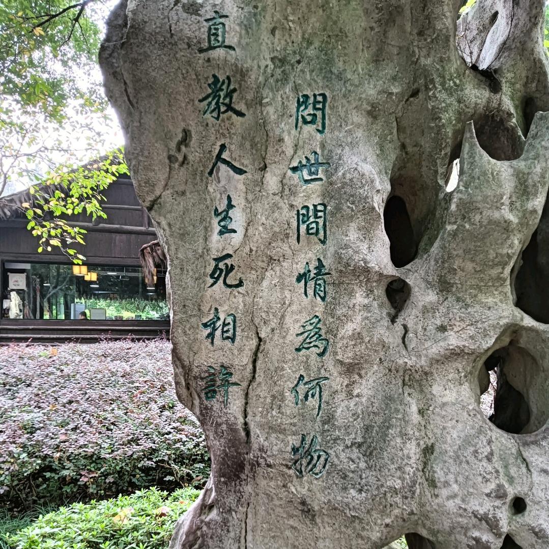 飞的鱼