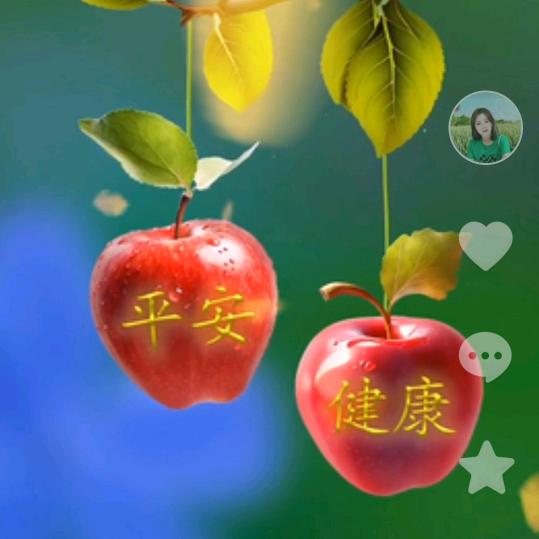 春暖🌸花开