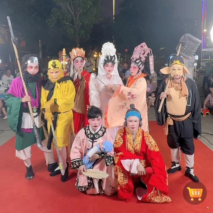 徐闻县迈陈镇南安境演出雷剧