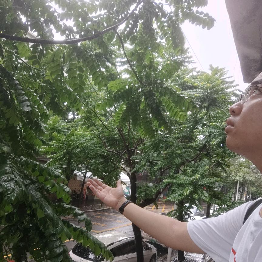 小鱼学长The_FatFish