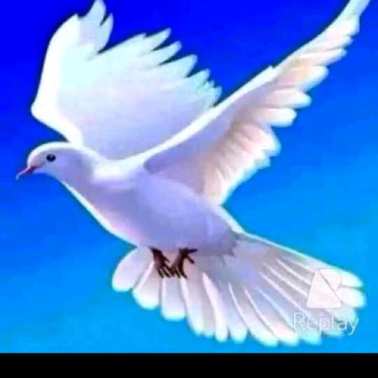 世界上没有我这样的人