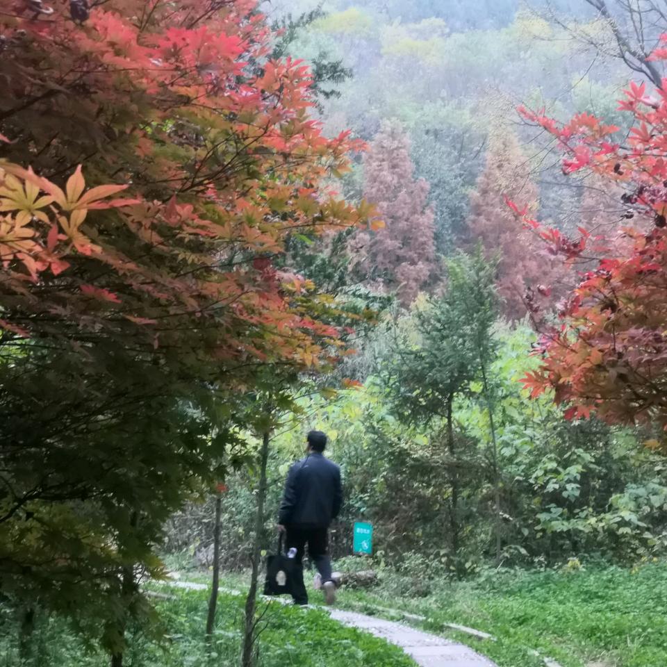 逆风而行