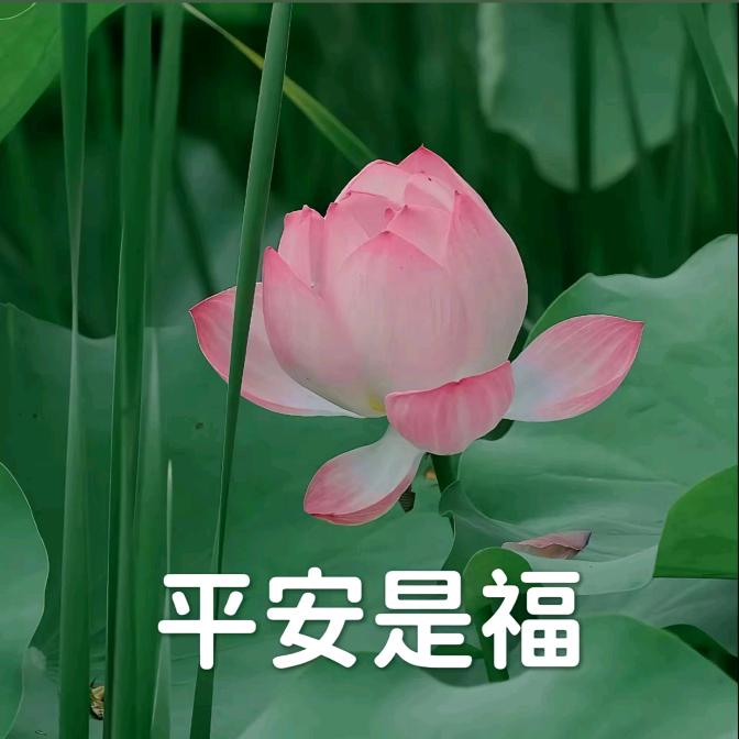 旺