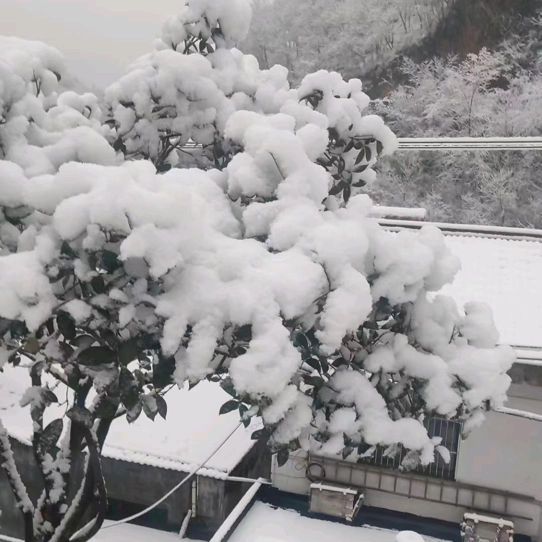 农村丫头