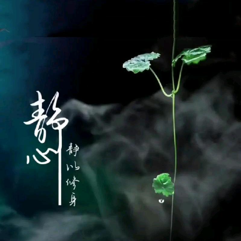 💕: 七秒໊記⃨憶᭄এ