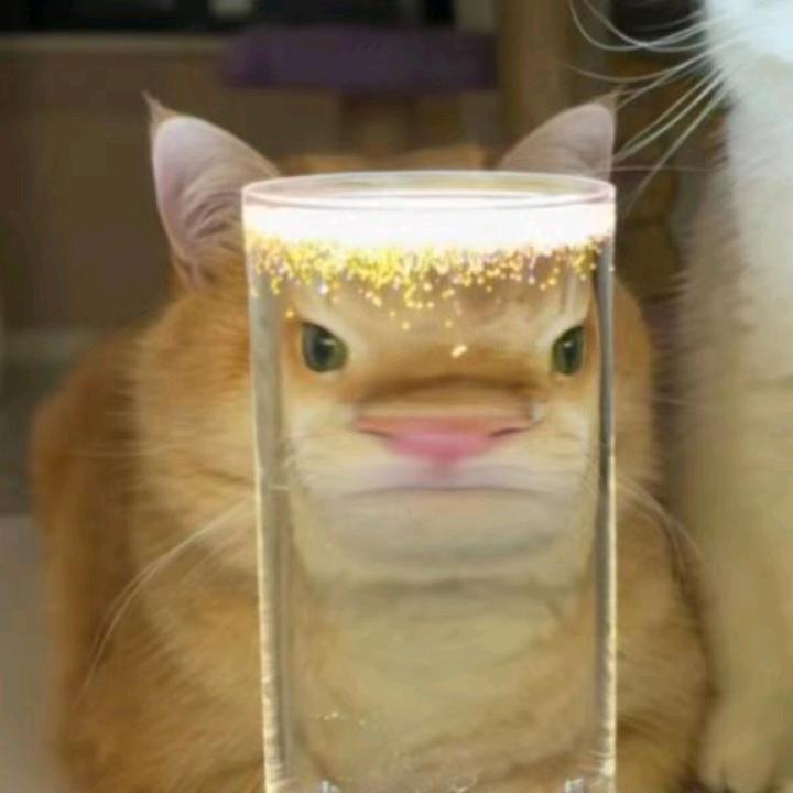 陪诊日记