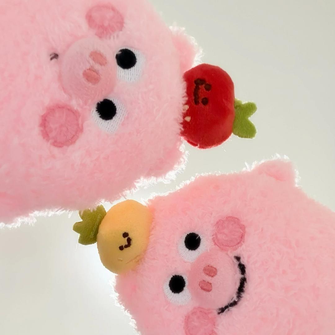 一粒玉米吃不饱