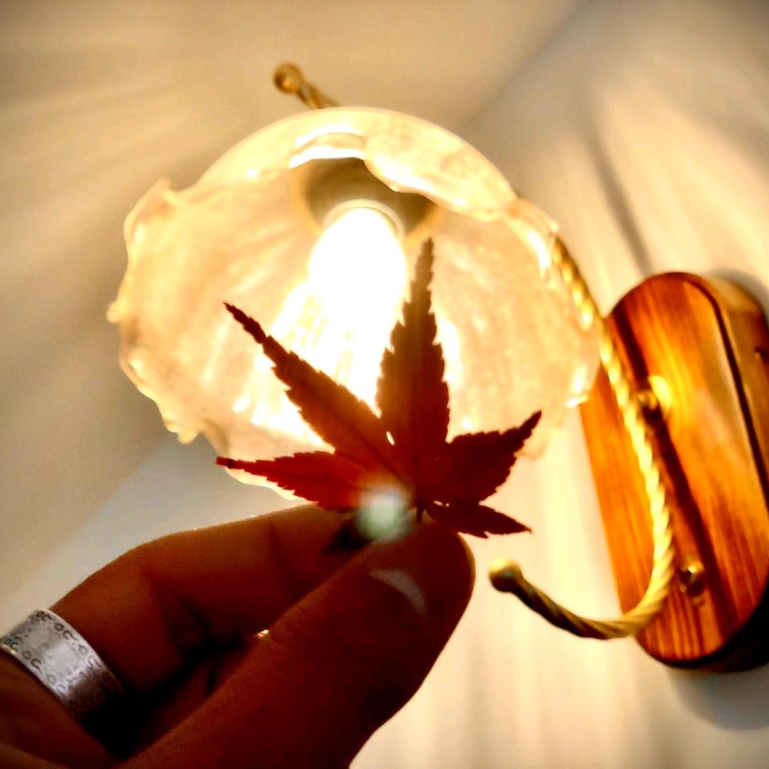 ꒰ྀིㅇ清楓ㅇ꒱ྀ