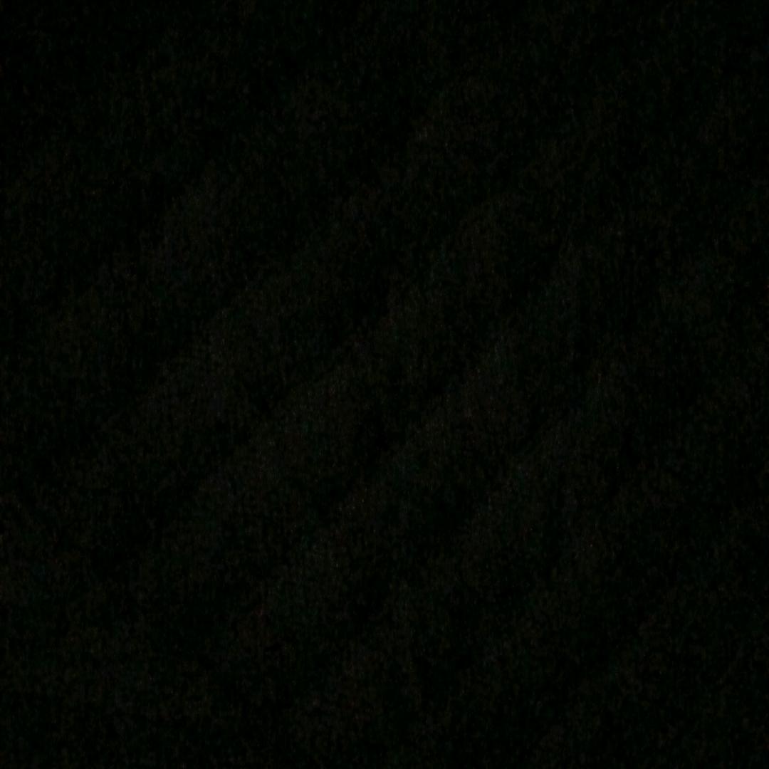 蛋蛋