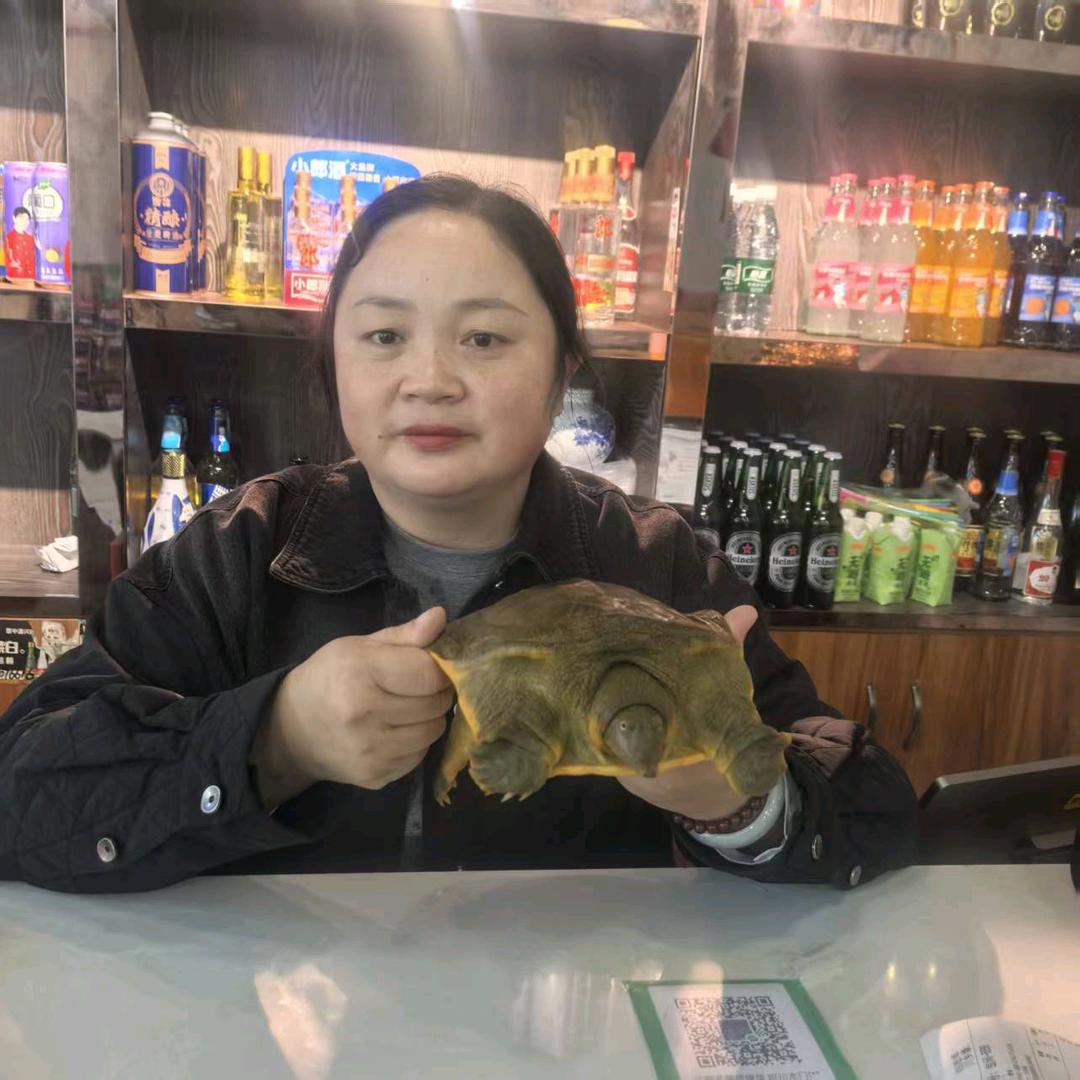 川乡缘的金姐姐