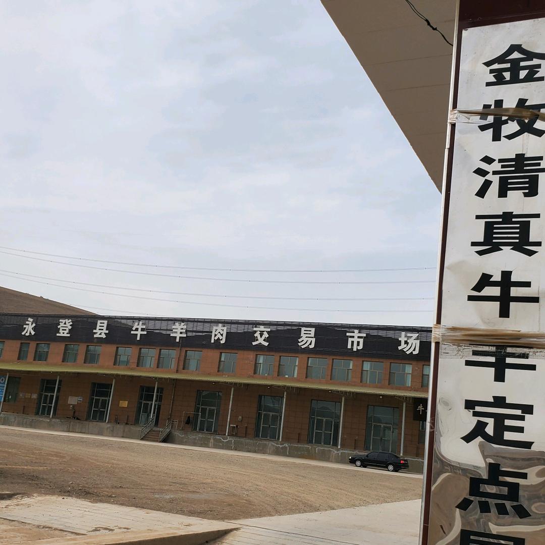 金牧牛羊肉