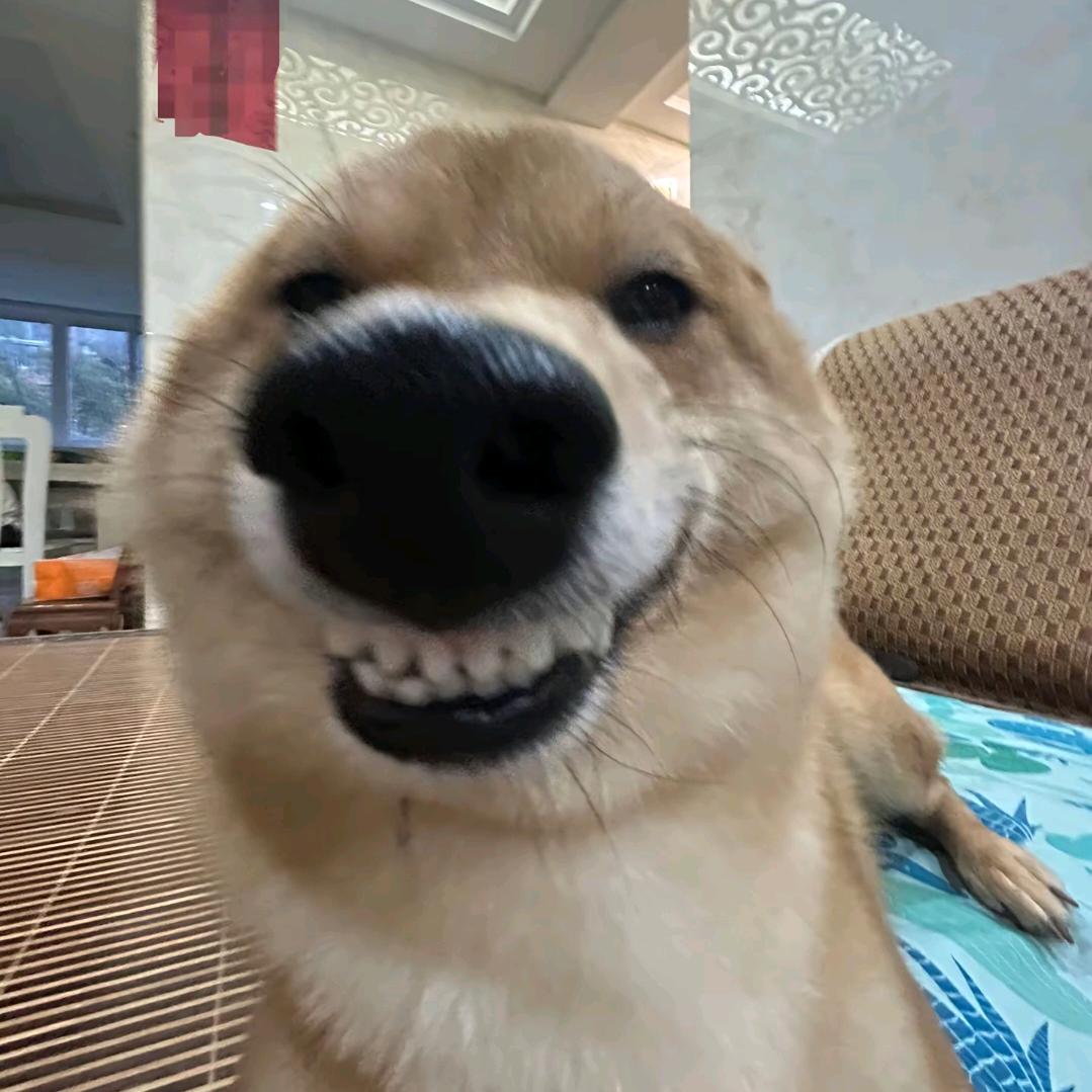 不喜欢做选择题