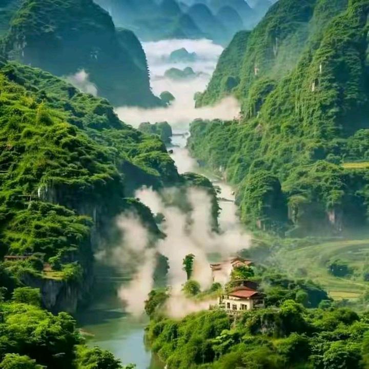 翠姐