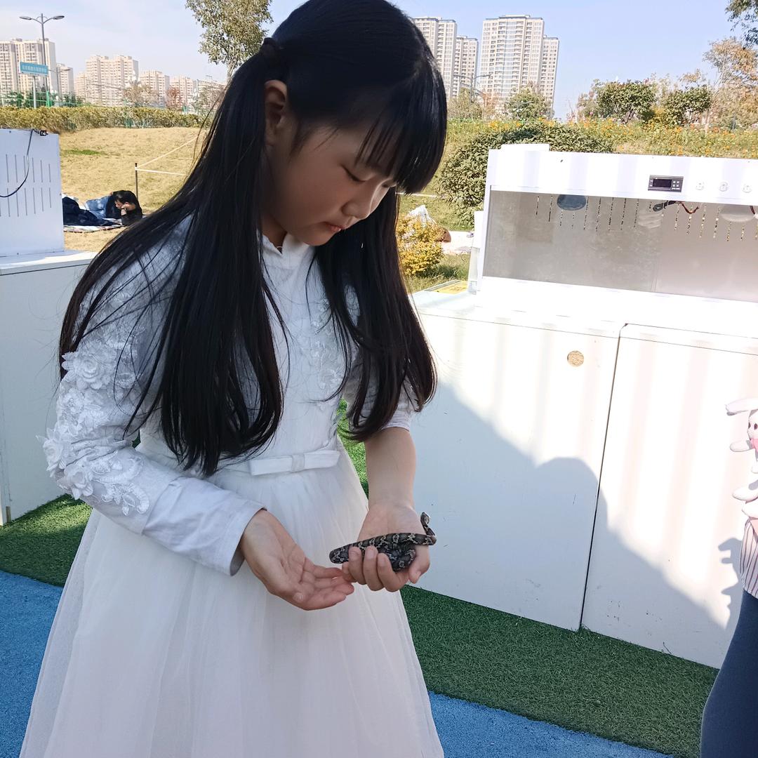 褪了色的承诺，橱窗有小零食🎁