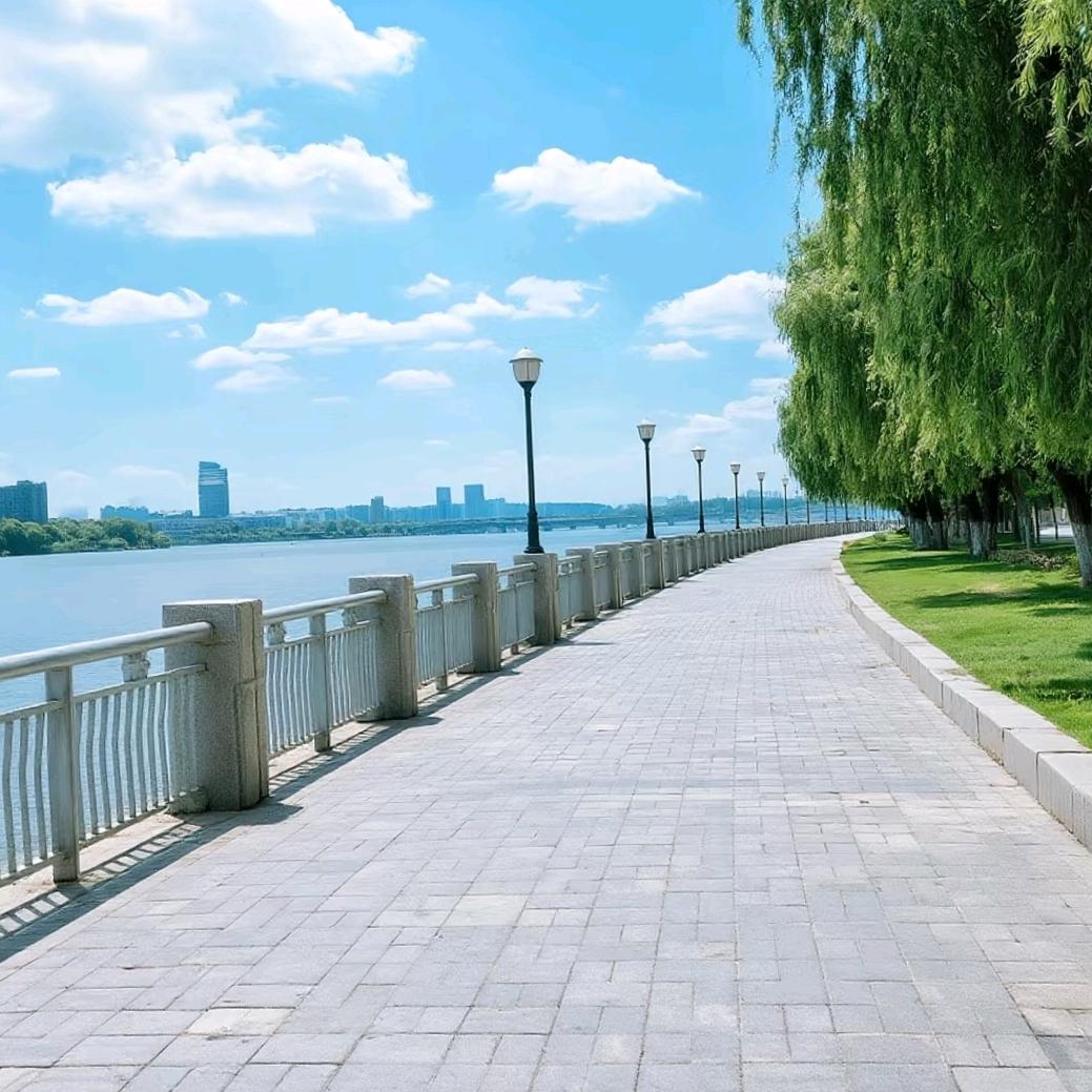 麦兜的幸福需要泡面