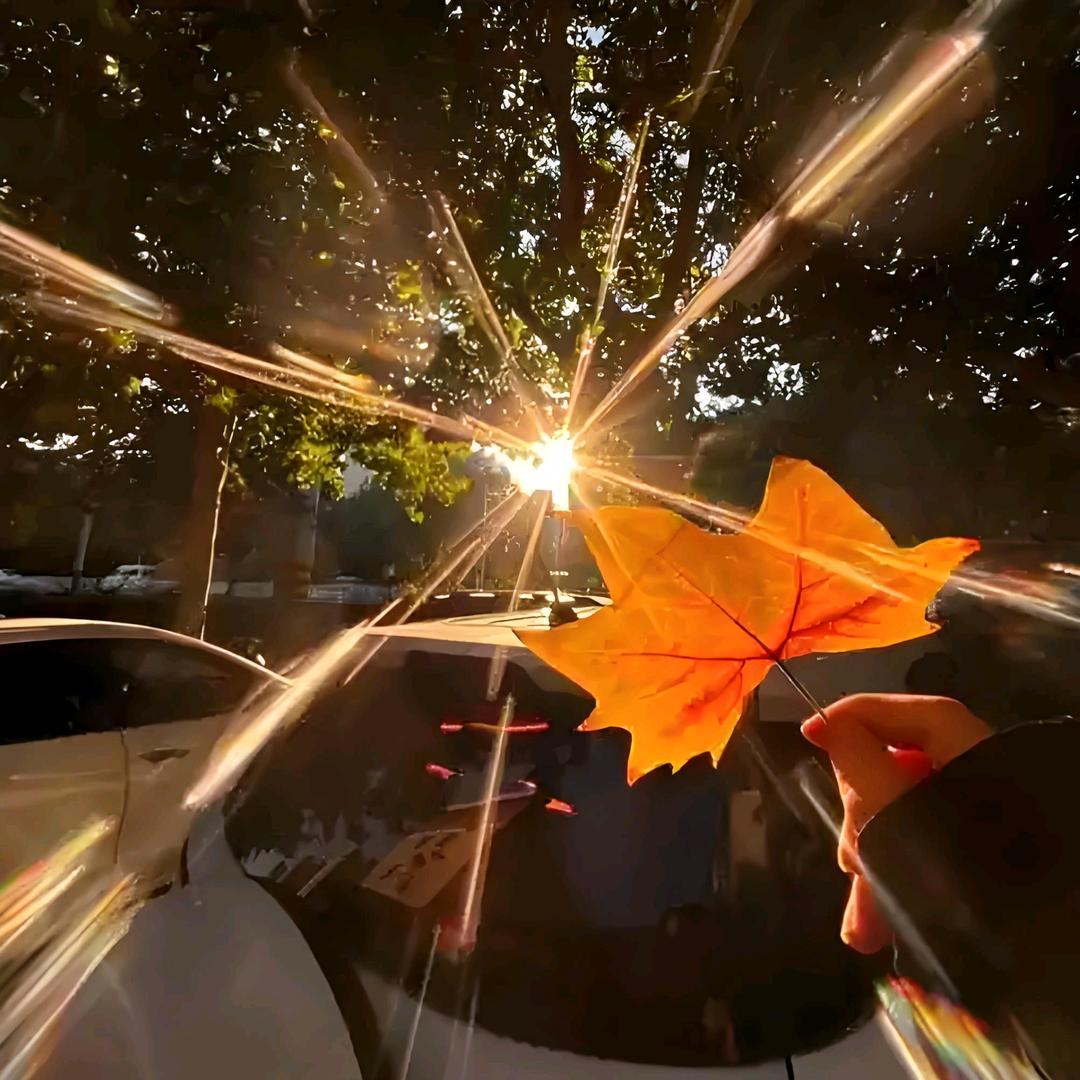 请不要叫我四川彭于晏啊喂