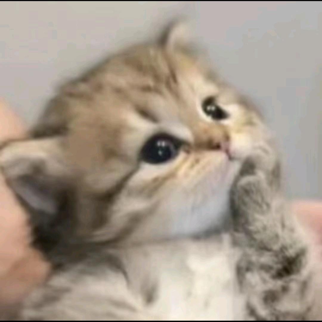 大郎该吃药了