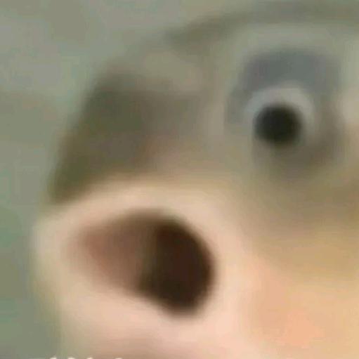 蒋小仙