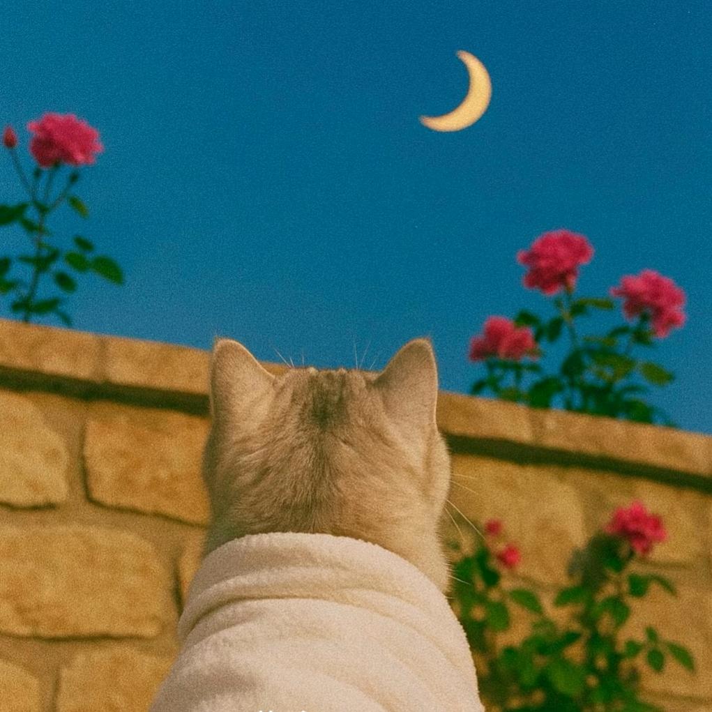 🌼~