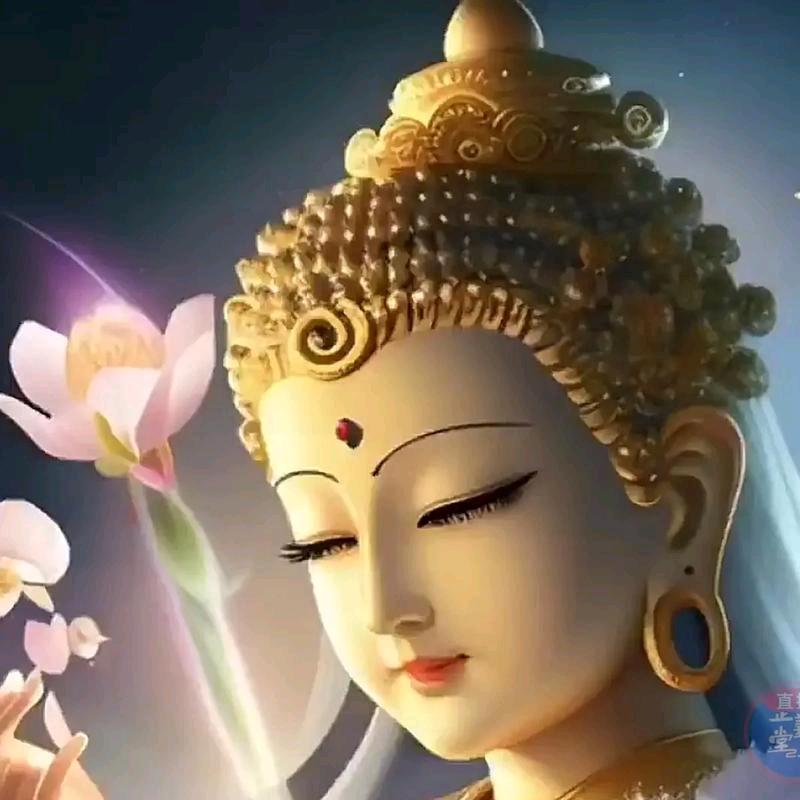 佛缘📿🙏