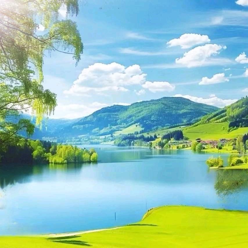 三钰文化  福贵书法