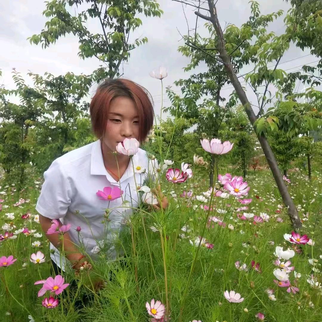 郑家的传人字钱名花