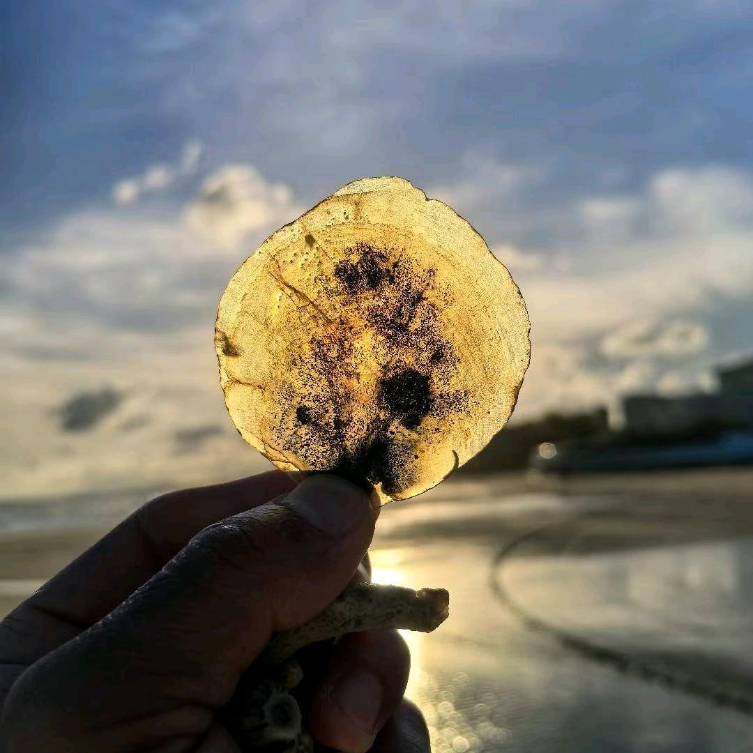 ❤️。脉。受。损