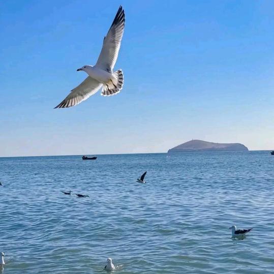 天一阁