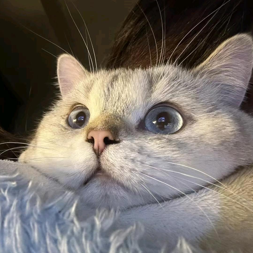 🌈瑆粤🌈