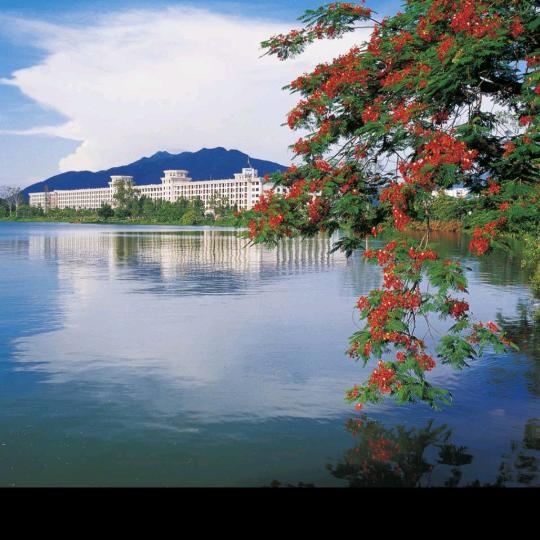 骑的洋车去三亚