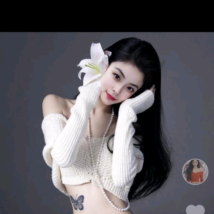 小燕子