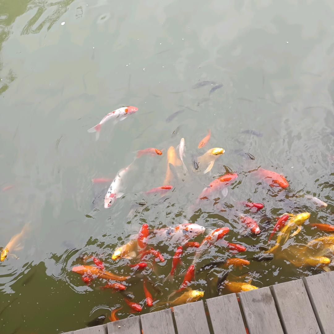 永和徐
