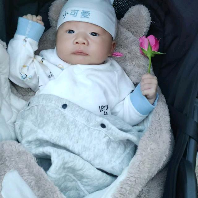 恒宝宝的成长记