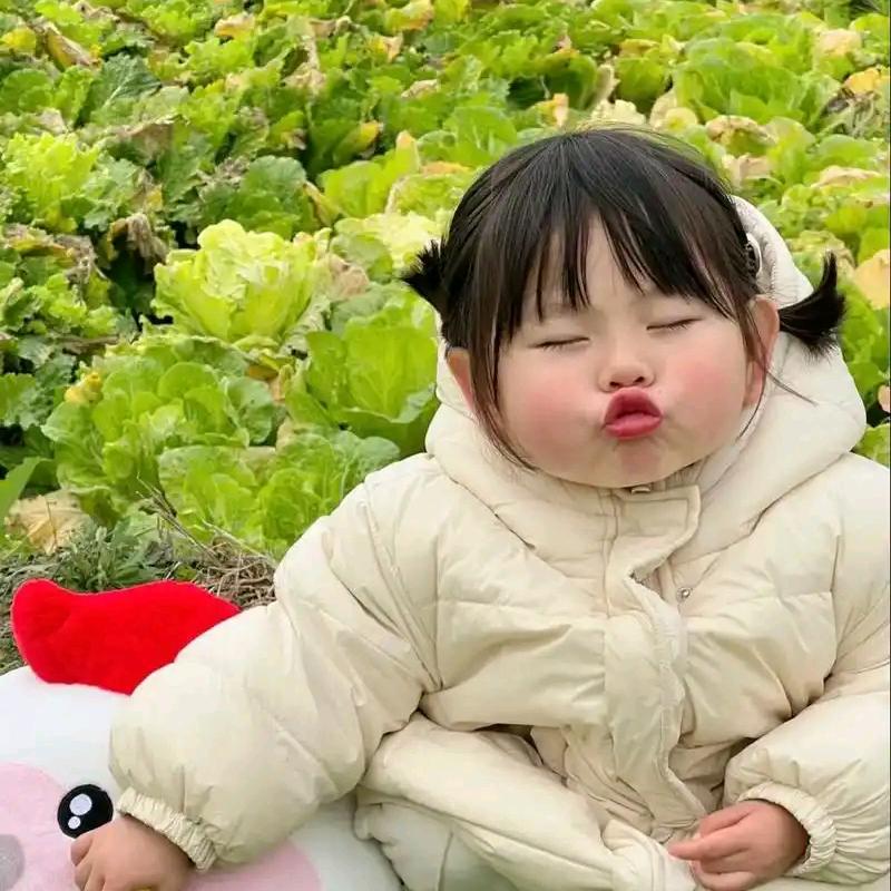 留个关注