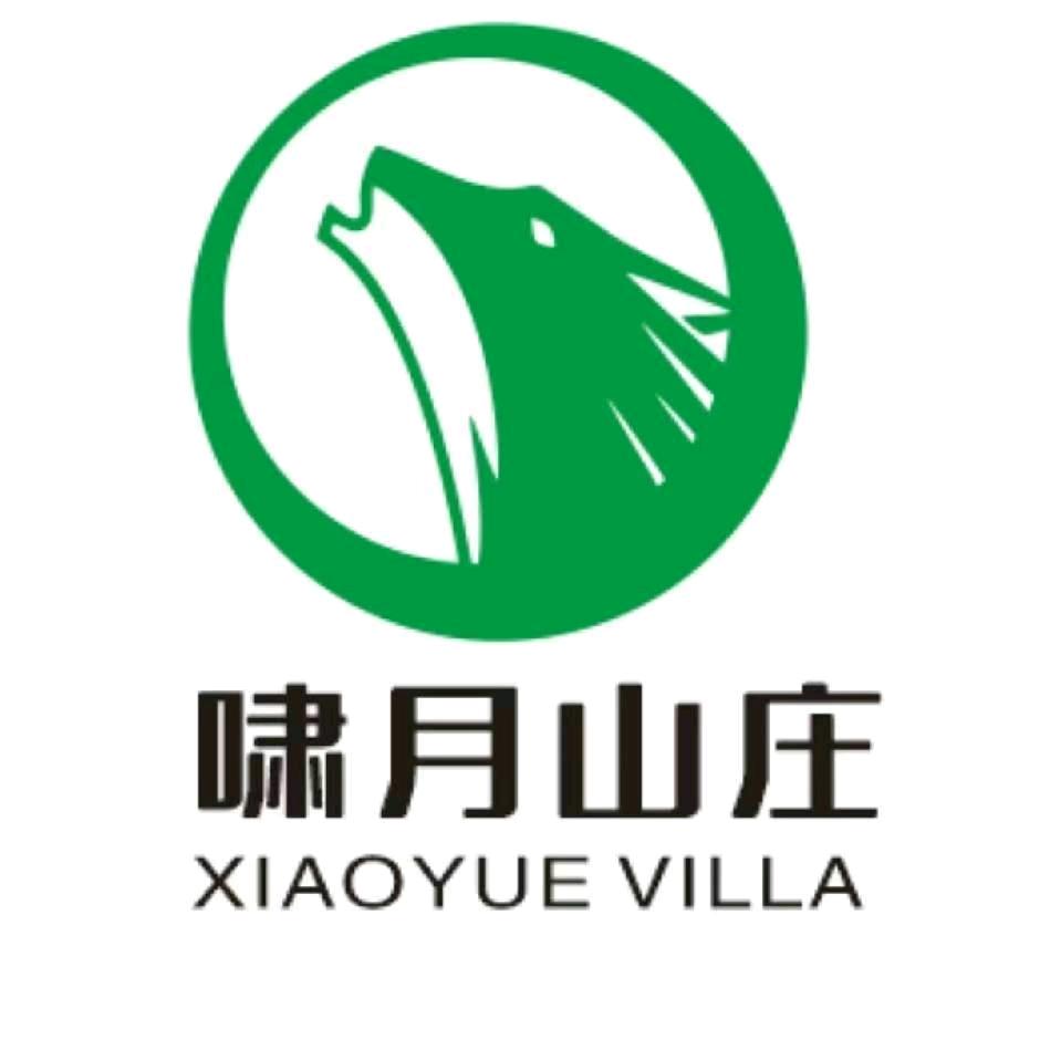 啸月龙少