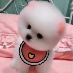 依丽洁绿色干洗店