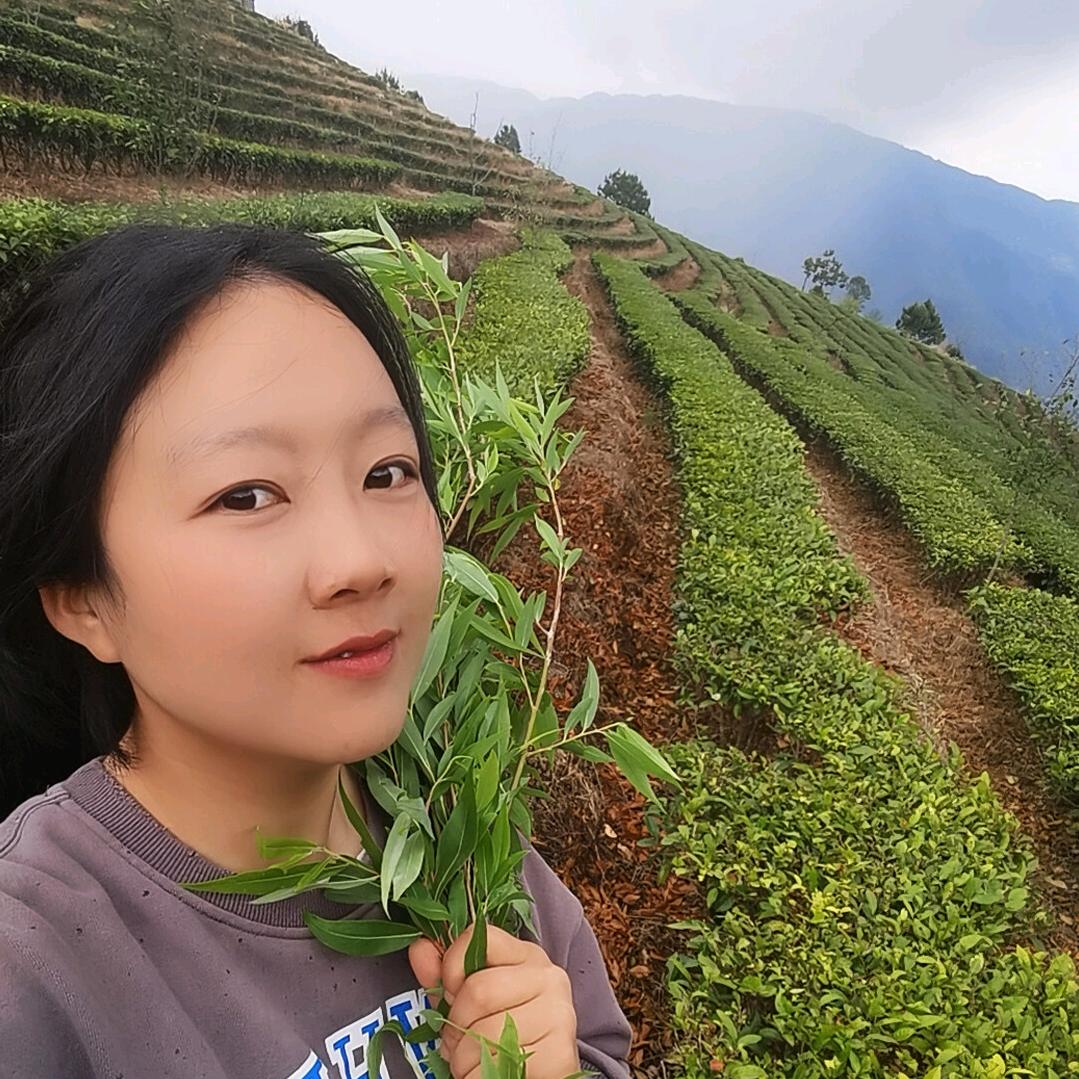 小小肥杨