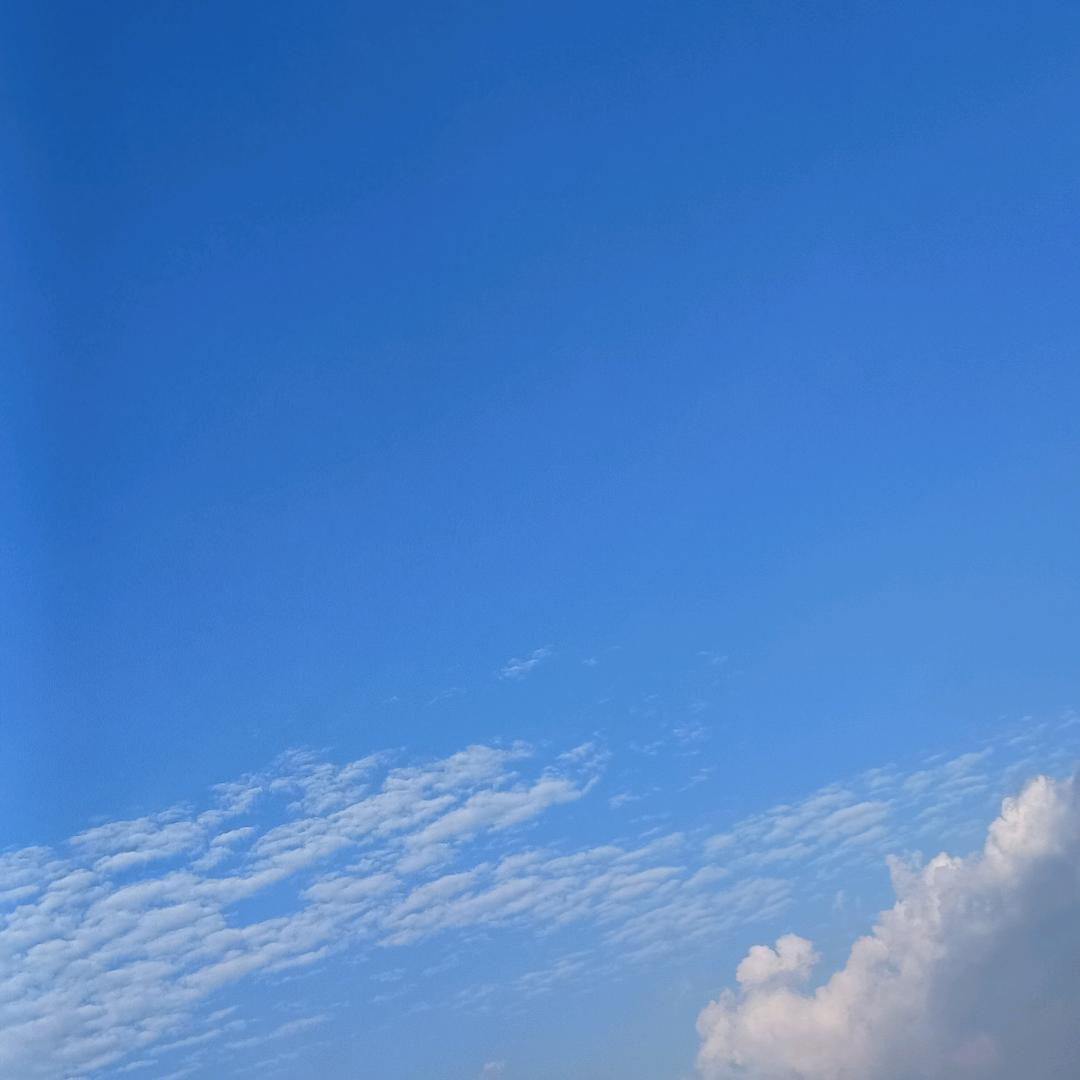 爱咋地咋地