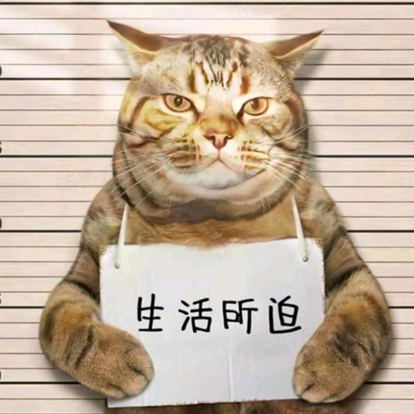 神评搞笑哥