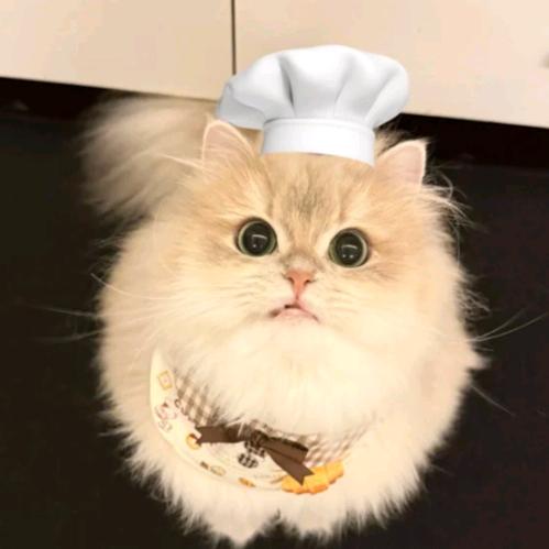 归（ 海 ）有（ 琴 ）