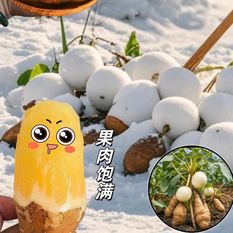 就这样