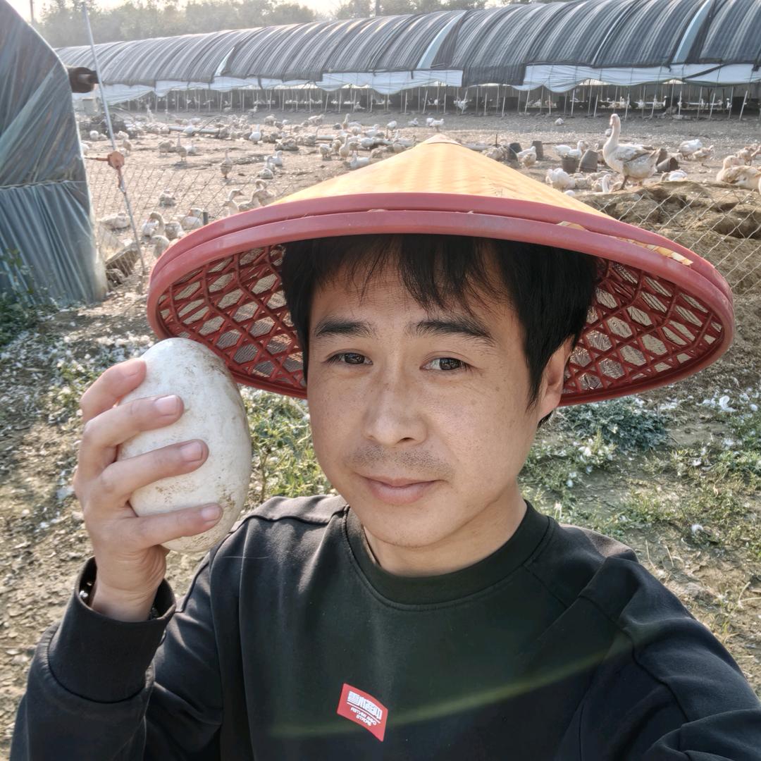 大宇养鹅
