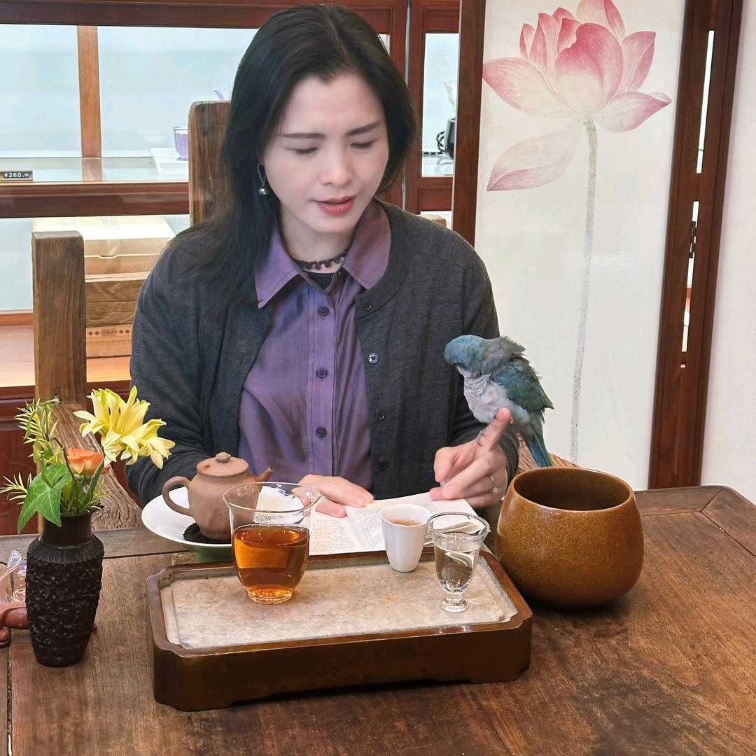 株洲常青藤茶庄谭谭
