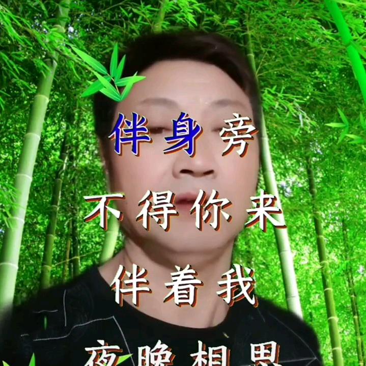 陈善中