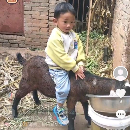 龙影.,,有缘人，，张建