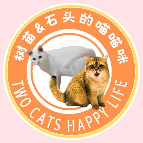 树苗&石头