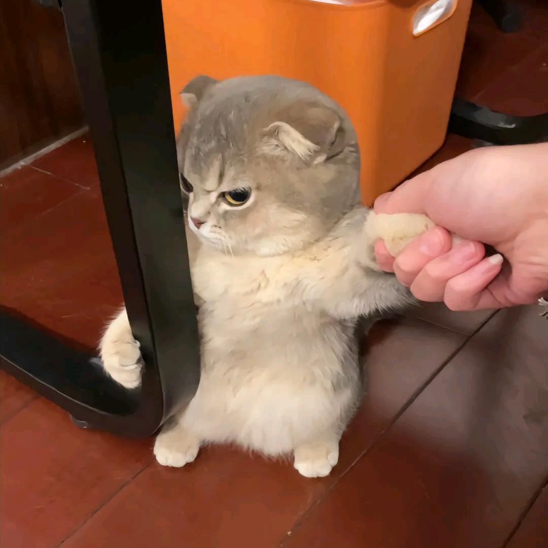 小心愿