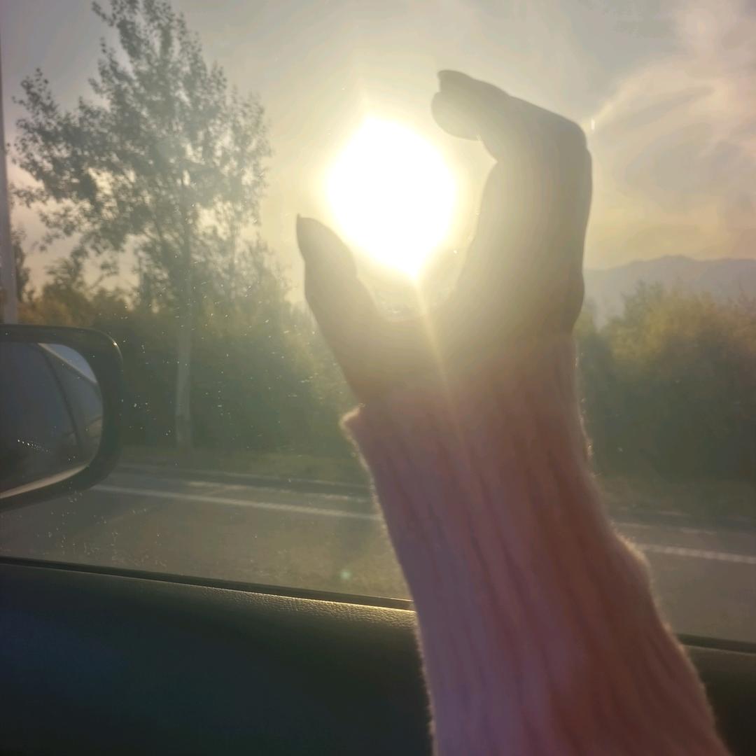 云南小梁精品鲜蔬批发