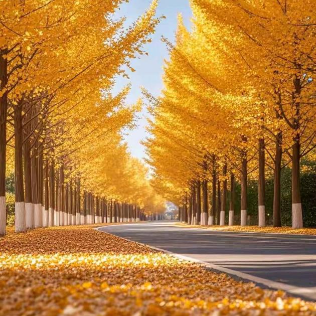 小小的幸福🍊🍊·𓇼𓇼ˣʰˣ